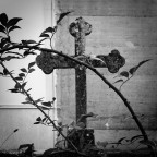 Una immagine un po' macabra, a mio parere, che mi ha colpito subito e non ho saputo resistere dal coglierla...
Commenti e critiche gradite. Grazie