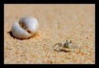 spiaggia spiaggia