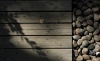 L'autunno L'autunno