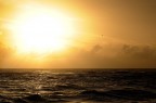 sun sun
