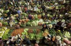 market's colors market's colors