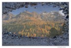 The Alps in a puddle The Alps in a puddle