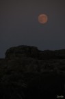 Cosa fai in ciel silenziosa luna? Cosa fai in ciel silenziosa luna?