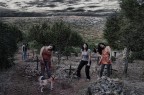 The Walking Dead The Walking Dead
