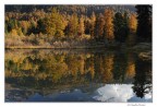 Riflessioni autunnali Riflessioni autunnali