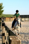 lezione di equitazione lezione di equitazione