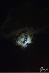 Luna oscurata Luna oscurata