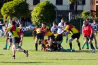 rugby4 rugby4
