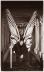 archangel archangel