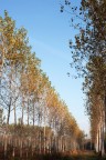Prova d'autunno Prova d'autunno