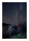 Il Rosa sotto le stelle Il Rosa sotto le stelle