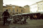 i colombi di reggio emilia i colombi di reggio emilia