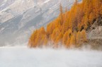 Nebbia da evaporazione : La nebbia da evaporazione � creata dall'aria fredda che passa sull'acqua molto pi� calda.
E' pi� frequente nelle regioni polari, e intorno ai laghi pi� grandi e pi� profondi nel tardo autunno e all'inizio dell'inverno.
Questa foto � stata scattata presso il lago di Livigno (c.a. 1.800 mt di altitudine) il 23/10/11; non so quale fosse la temperatura del lago, la temperatura dell�aria era di -10 �
 f10 � 1/20sec � iso200 � 75mm.