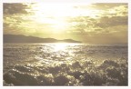 Mare Mare