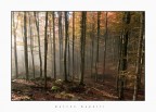 Atmosfera d'autunno Atmosfera d'autunno
