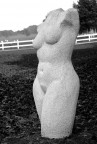 Nuda nel bosco Nuda nel bosco