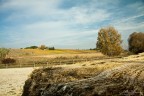 Campagne toscane Campagne toscane