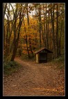 Autunno sul monte Serra - 1