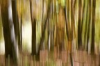 autunno prova 2 autunno prova 2
