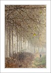 Nebbia d'autunno Nebbia d'autunno