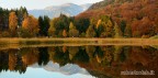 Riflessi d'autunno Riflessi d'autunno