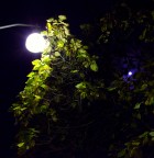 notturno notturno