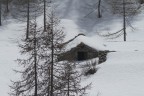 Una coperta di neve Una coperta di neve