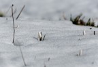 è primavera?!!! è primavera?!!!