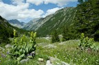 prato.. prato..