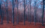 ST ST