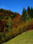 Sfumature d'autunno 5 Sfumature d'autunno 5
