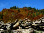 Sfumature d'autunno 6 Sfumature d'autunno 6