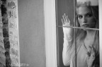 livia livia