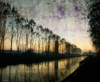 Golden river Golden river