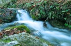 Torrente Torrente
