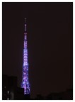 Torre by night Torre by night