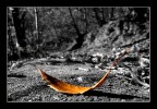 autunno autunno