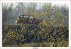 In campagna In campagna