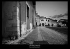 ... gatto ... gatto