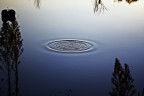 Il cerchio magico Il cerchio magico