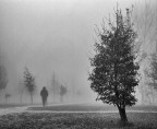 Solitaria passeggiata Solitaria passeggiata