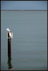 Alone #2 Alone #2