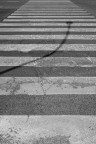 linee e curva linee e curva