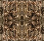 Scritte su pietre 2011