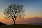 Tramonto Tramonto
