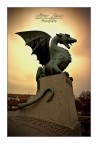 Dragon Dragon