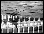 Venezia Venezia