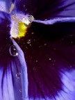 Universo Universo