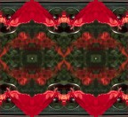 Il fazzoletto rosso Il fazzoletto rosso