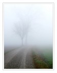 Nebbia Nebbia